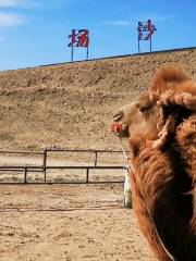 Inner Mongolia Hasuhai Tourism Holiday Resort