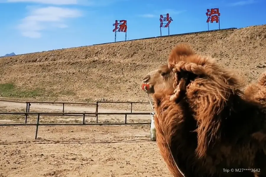 哈素海旅遊渡假村