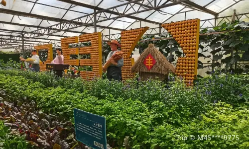Shouguang Vegetable Hi-Tech Demonstration Park