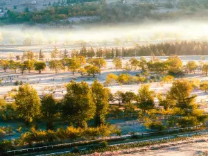 Qiansongba Scenic Spot