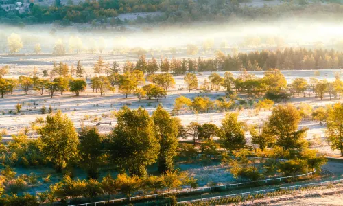 Qiansongba Scenic Spot