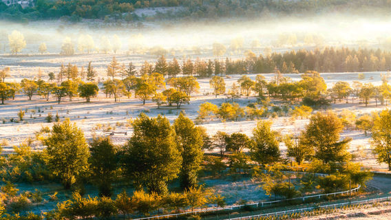 Qiansongba National Forest Park