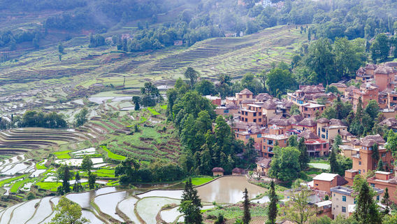 Yongjia