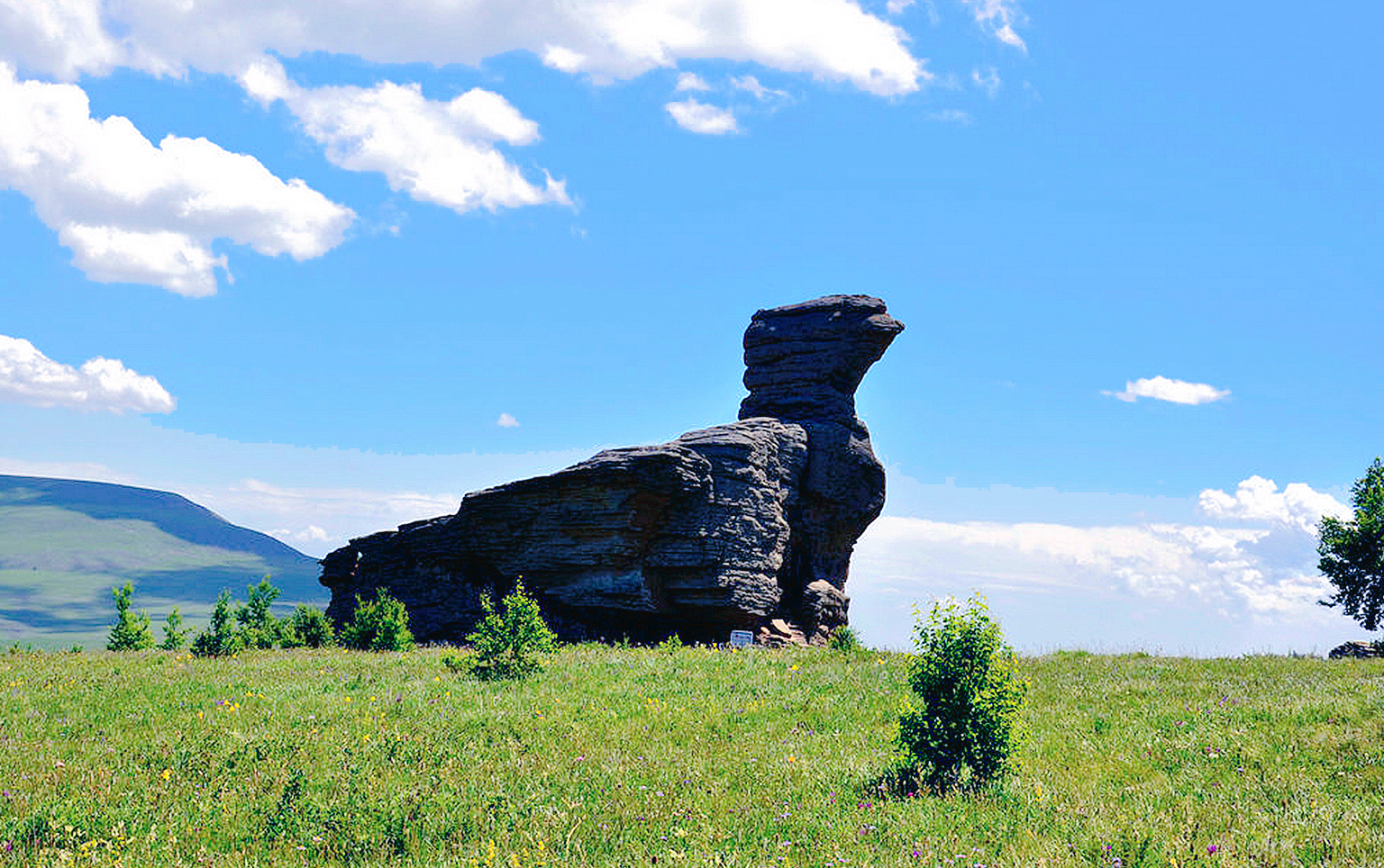 Ashhatu Stone Forest Scenic Area
