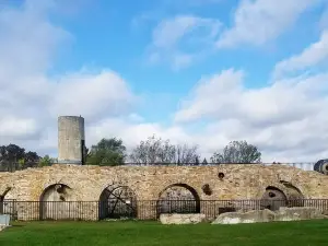 Paper Mill Park