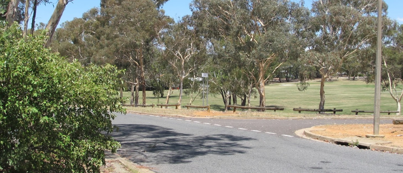 Cook Neighbourhood Oval