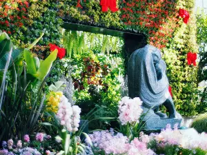 Top 4 Spring Outings in Kobe