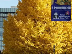 上野公園