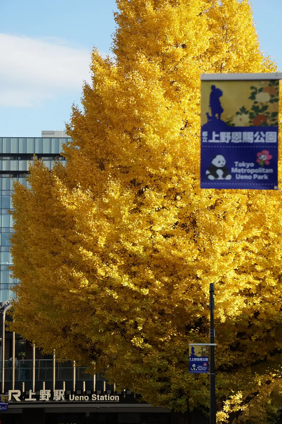 5_上野公園