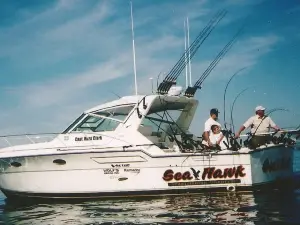 Seahawk Charters