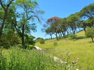 Countryside House Park