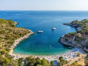 Dalmatian coastal