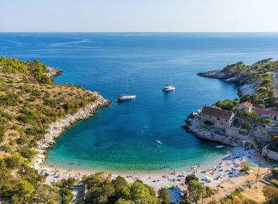 Dalmatian coastal