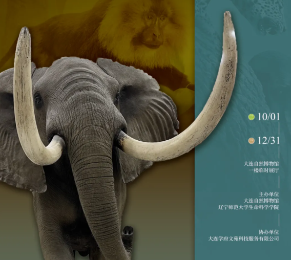 《定格生命——動物剝製標本技術與藝術》展覽 | 大連自然博物館