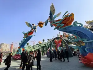 hua kai lin xia bu ye cheng