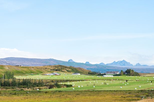Reykholt