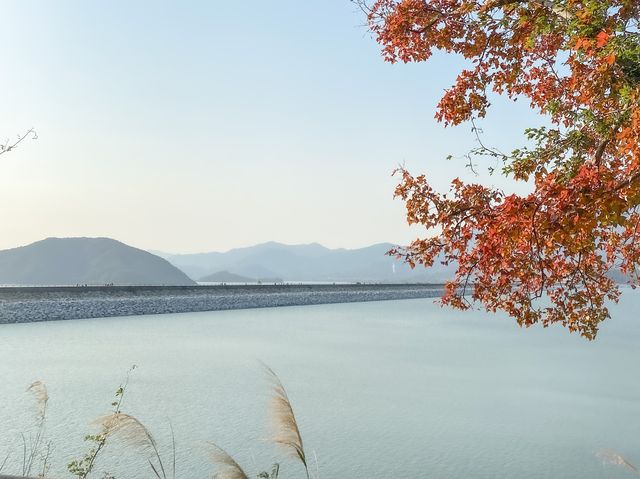 大埔 | 出走大尾篤｜漫步船灣淡水湖副壩