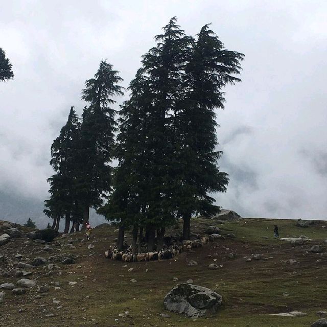 beautiful kalam swat