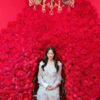 로즈페탈 전시회