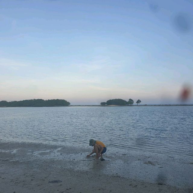 O P บังกะโล หาดเฉวง