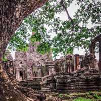 The Smile of Cambodia 