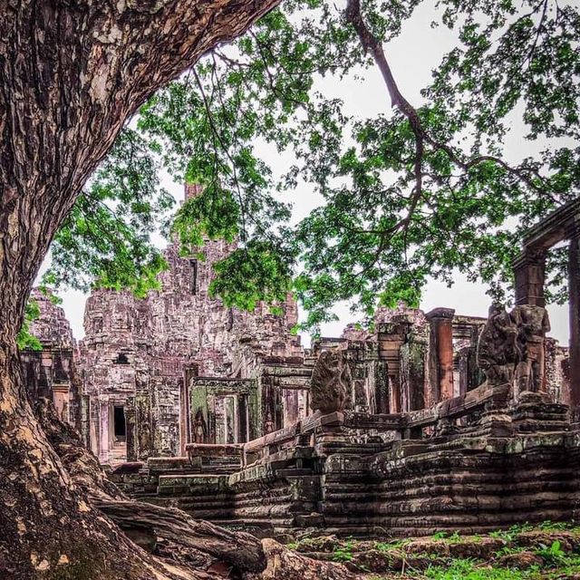 The Smile of Cambodia 