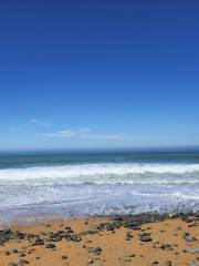 Bushy Beach Scenic Reserve