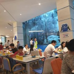 Emperor Penguin All Day Dining User Photo