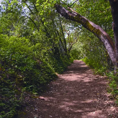 拿騷的海景酒店