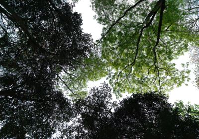 전산 국립 삼림 공원