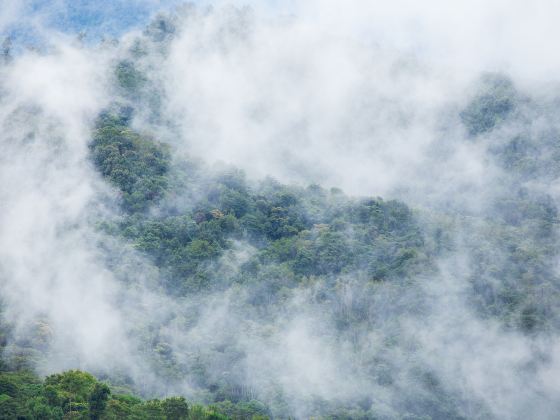 天子山索道