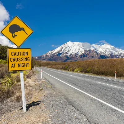 Отели рядом с достопримечательностью «Зоопарк Гамильтон»