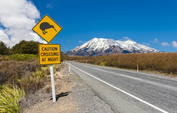 Hotels near Rangatira Point Walking Track