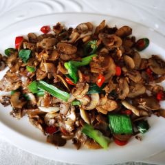 Bashanrenjian (yinchengdongyuan) User Photo