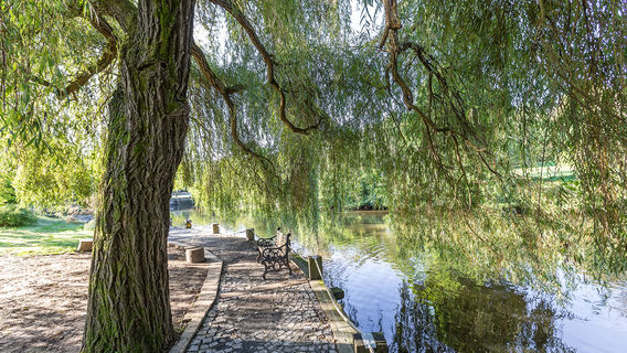 Ziling Lake Tourist Area