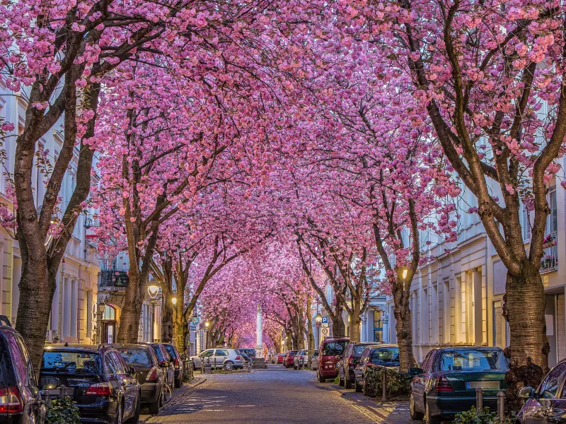Bonn