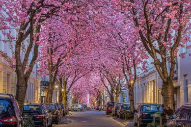 Bonn