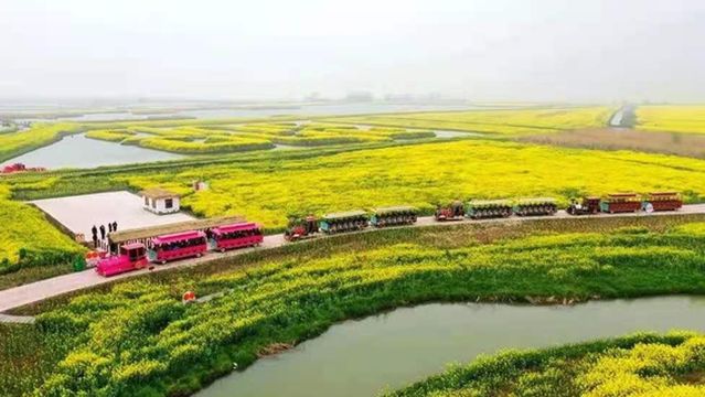 Gaoyou·Lake Flower Sea