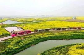 Gaoyou·Lake Flower Sea