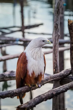 The Jrjf Hotel Near Tagum Termina