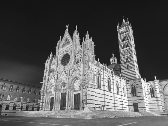 Piazza del Campo