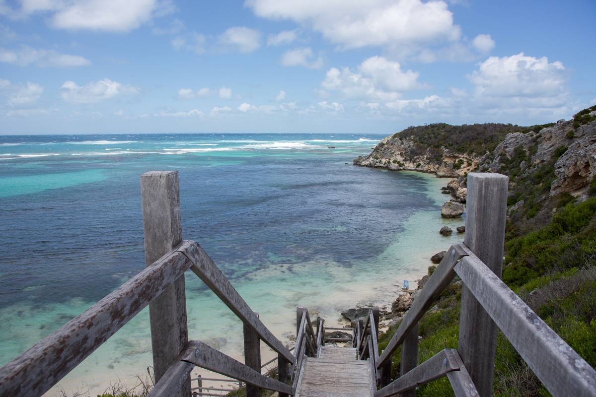 Where is the Rottnest Island & How to Get There
