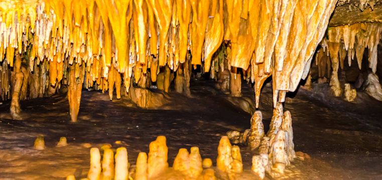 Mayberry Travel Guide 2026 Top Attractions Things To Do Deals D 1180 558 