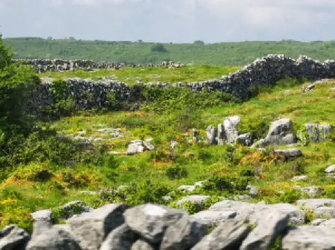 Popular Spring Outings in Clare