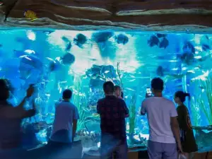 Lanzhou Ocean World