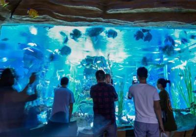 Lanzhou Ocean World