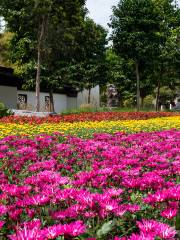 Парк Цветок, Наньнин