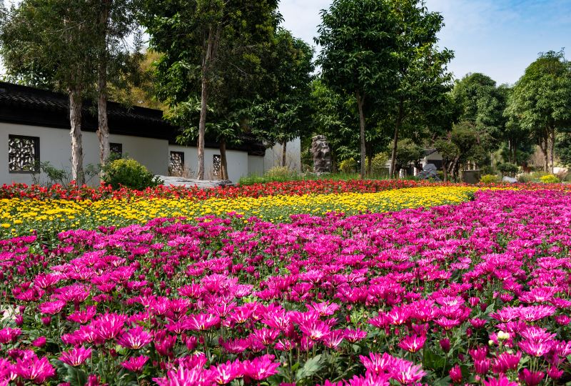 Nanningshi Huahui Park