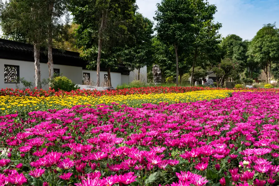 Парк Цветок, Наньнин