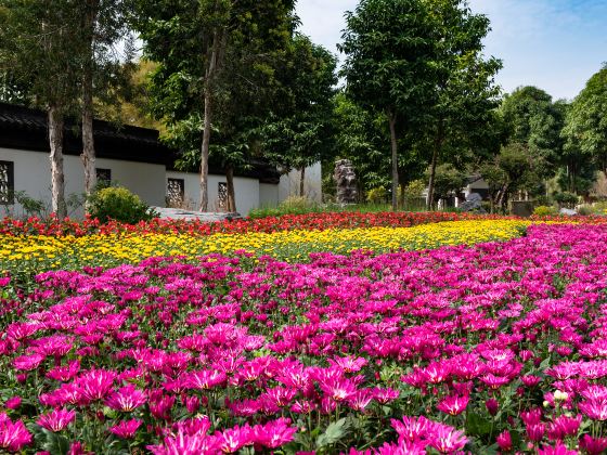 Nanningshi Huahui Park